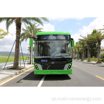 12 metrli elektr shahar avtobusi EEC CAC